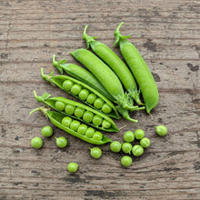 Pea Seed