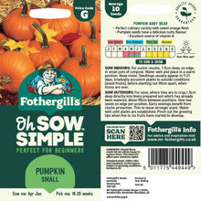 Pumpkin Small Seed