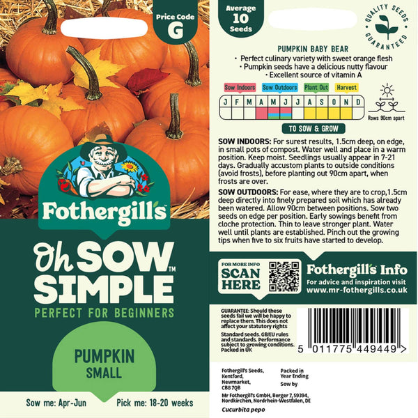 Pumpkin Small Seed