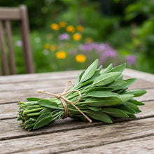 Sage Seed