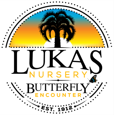  Lukas Nursery & Butterfly Encounter